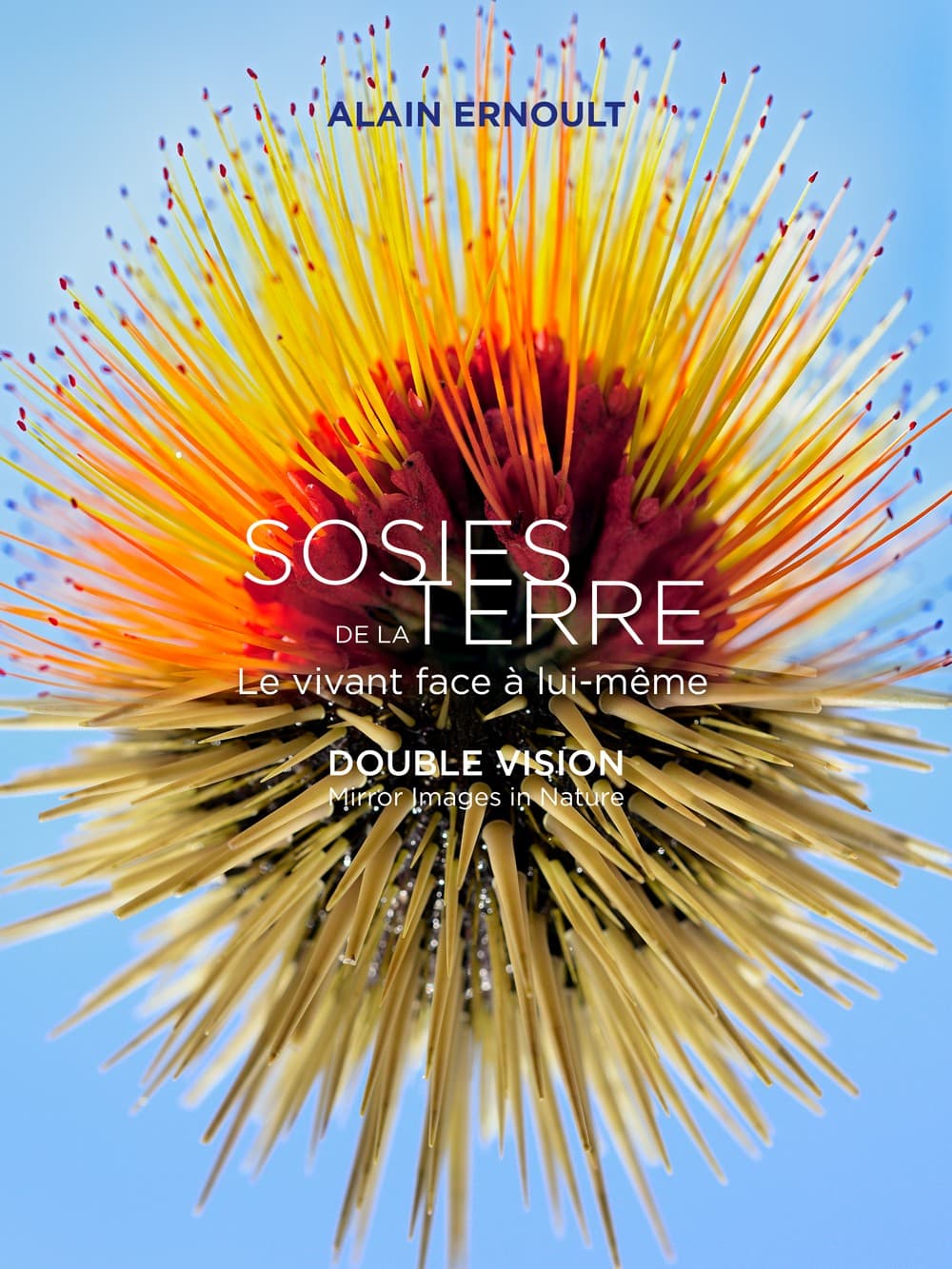 SOSIES DE LA TERRE